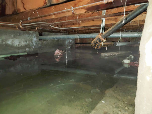 Best Basement water damage restoration  in Littlerock, CA