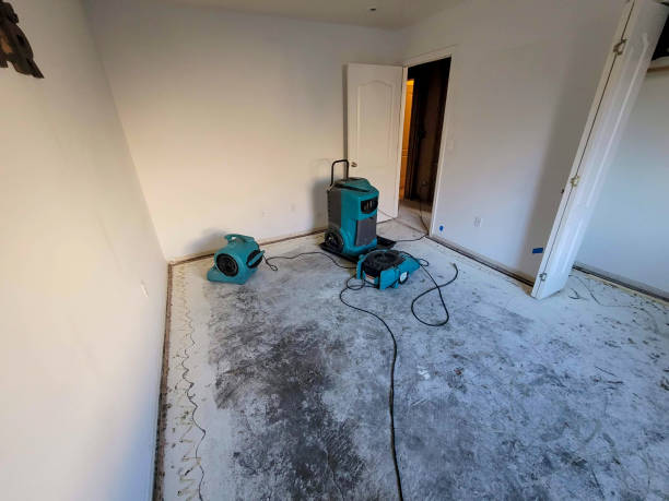 Carpet water damage restoration in Littlerock, CA