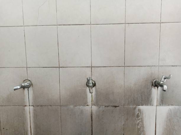 Best 24/7 water damage repair  in Littlerock, CA